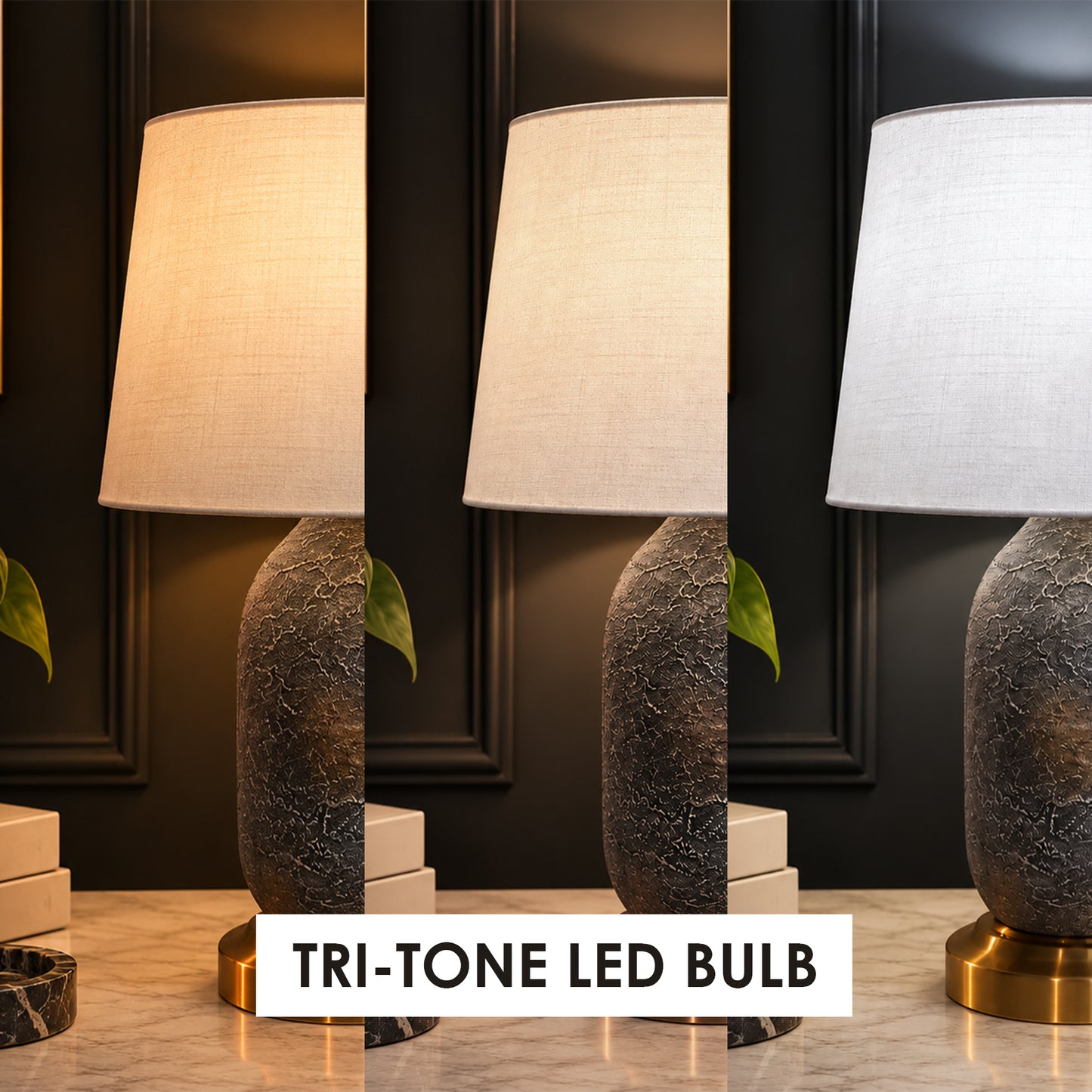 Graphite Studio Table Lamp